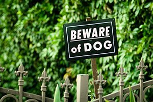 A sign with the words Beware of Dog
