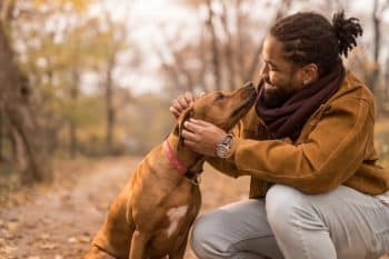 Smiling man petting his dog on autumn day in the park
